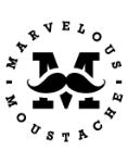 Logo de MARVELOUS