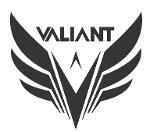 Logo de VALIANT BIKES