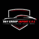 Logo de B&V GROUP IMPORT SAC