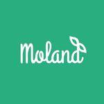 Logo de Moland