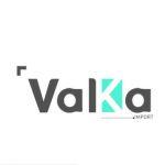 Logo de VALKA IMPORT